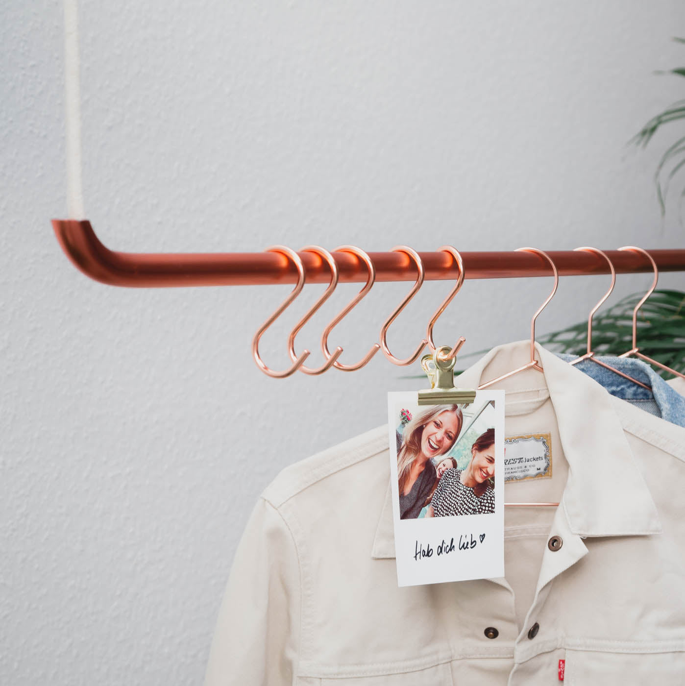 Produktfoto von Kupfer Kleiderstangen mit S-Haken und Kleiderbügel
